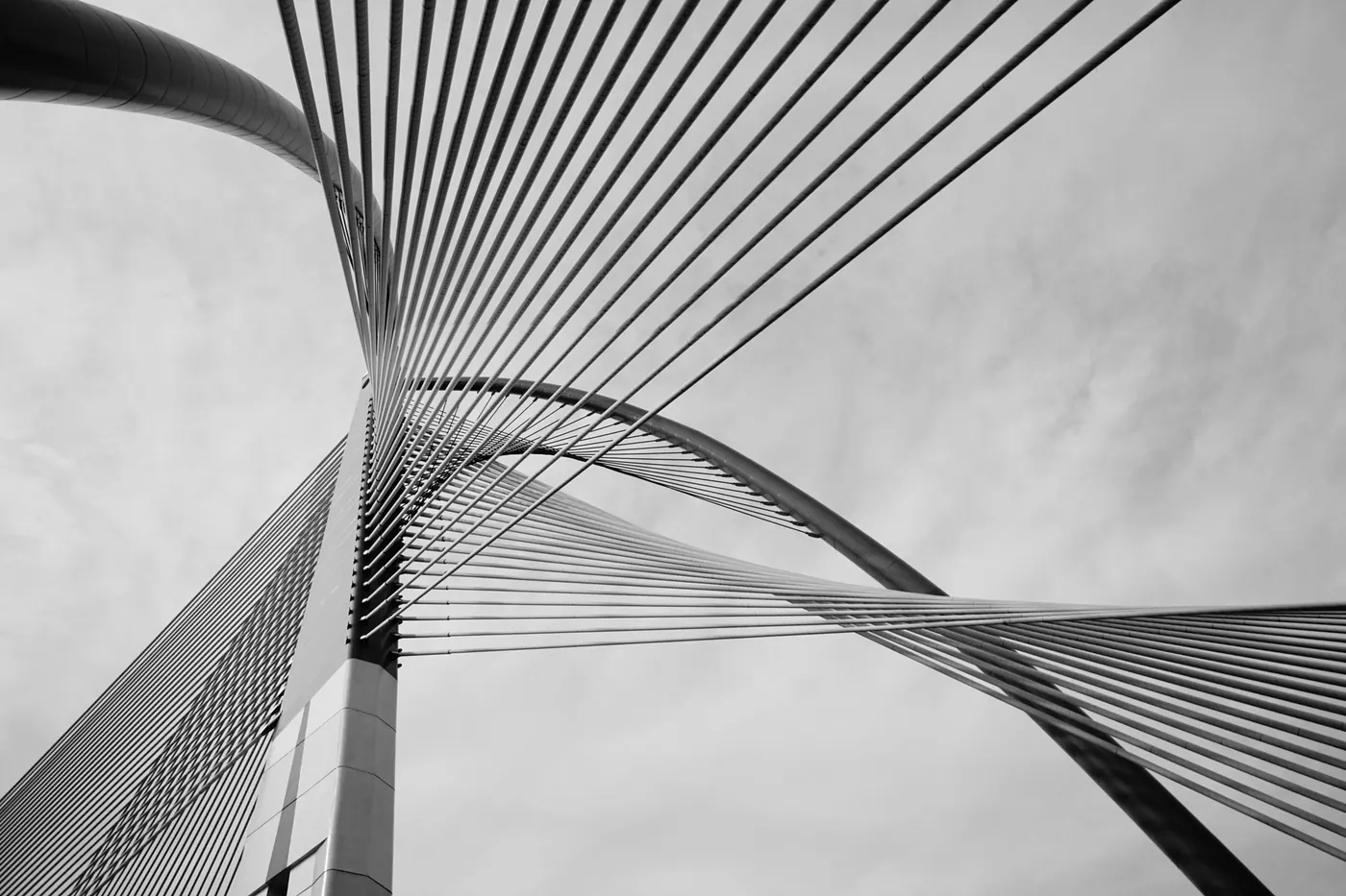 Cable-stayed bridge in black and white